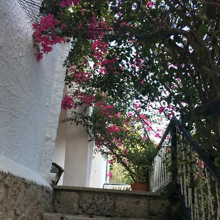 Villa Panoramica A Castro *